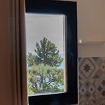 2-room Flat With Sea View In Du Bailli, * Le Rayol-Canadel-sur-Mer
